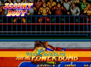 3 Count Bout Screenshot