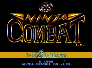 Ninja Combat (set 2)